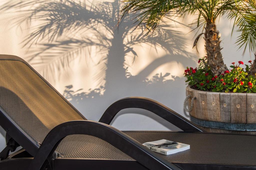 Apartamentos Plaza Cavana 5 Nerja Dış mekan fotoğraf
